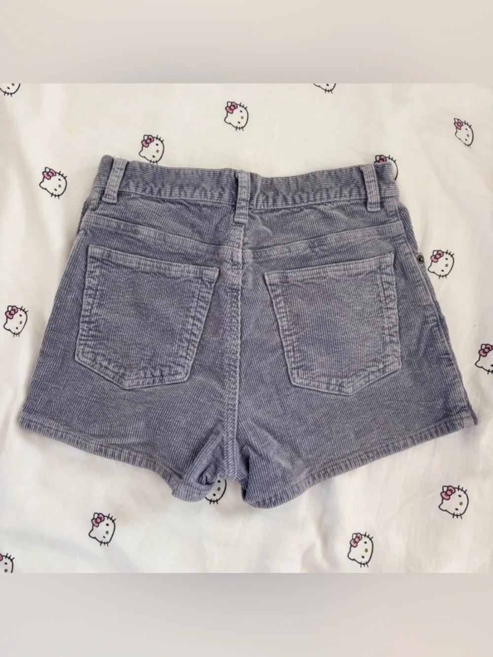 Corduroy mini shorts from brandy Melville - Picture 2 of 4